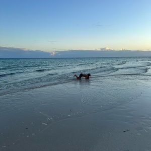 Meet your Posher, Arnays